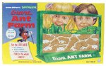 antfarm